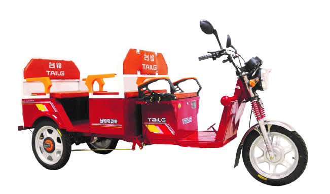 Пассажирская электрическая тележка(электротрицикл) Ekobike TL-800Q Пассажирская электрическая тележка(электротрицикл) Ekobike TL-800Q